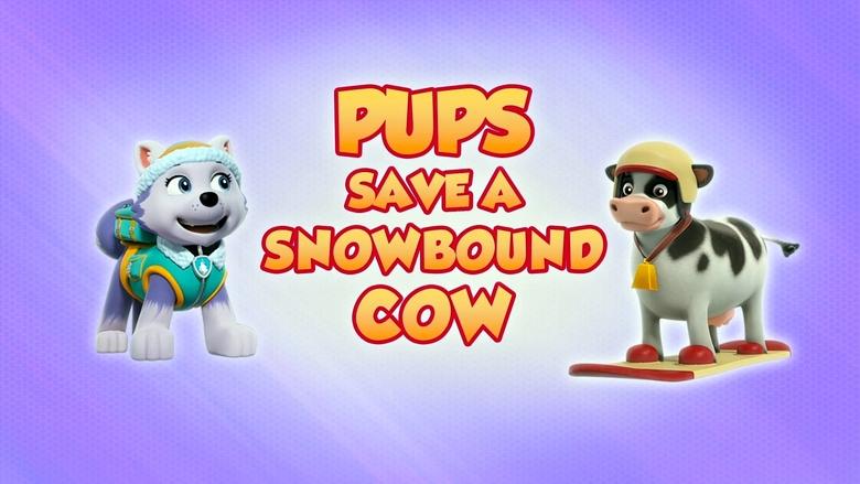 Pups Save a Snowbound Cow