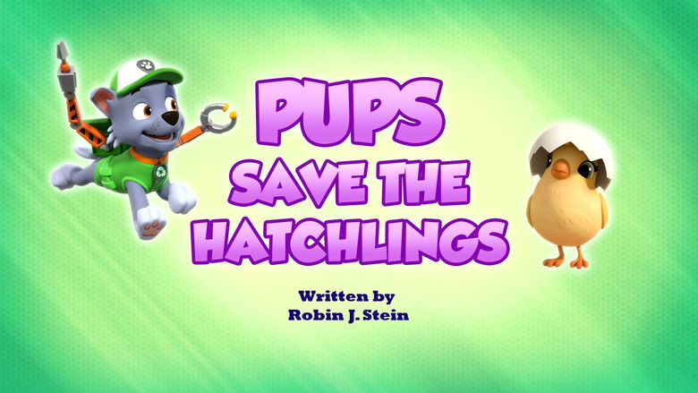 Pups Save the Hatchlings